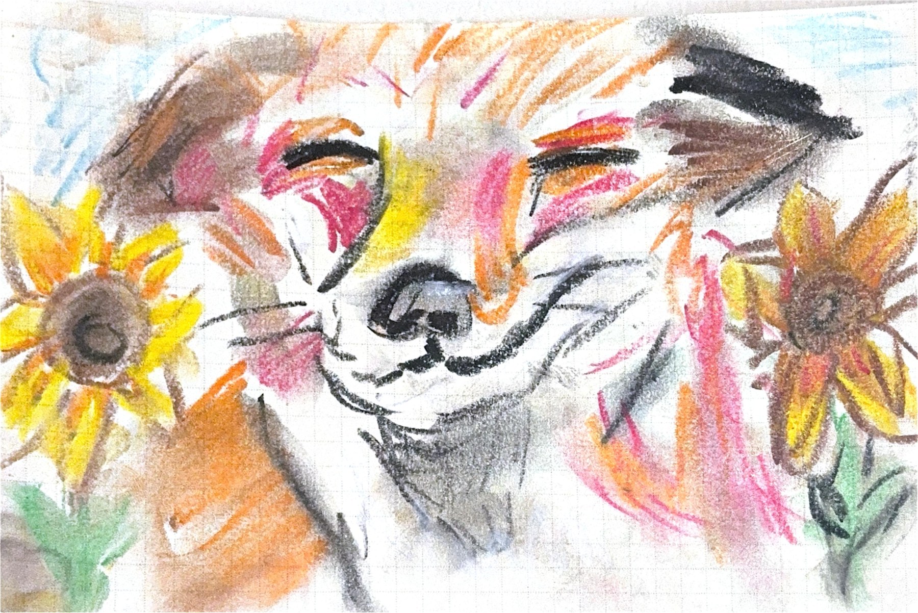 notebook page